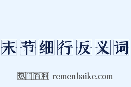 末节细行反义词是什么意思的图片